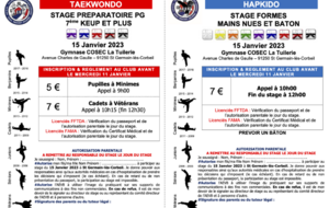 Stage PDG / Hapkido