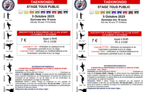 Stage Taekwondo