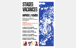 Stage Hapkido Toussaint