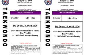 Stage Taekwondo Avril