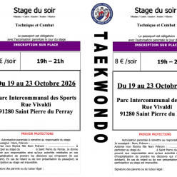 Stage Taekwondo Toussaint